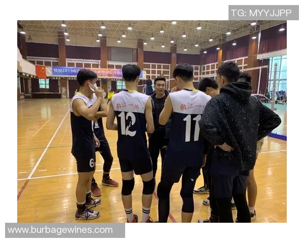 西安排球队在精英赛中的耐力表现分析与点评 西安排球队在精英赛中的耐力表现分析与点评