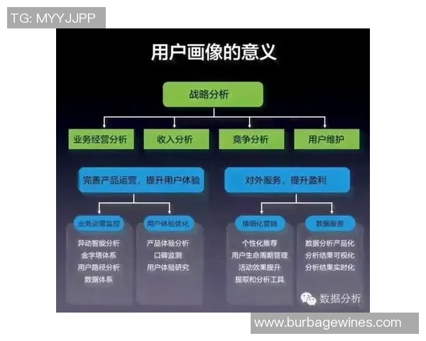 西安网球队的阵地战策略与发展前景深度解析