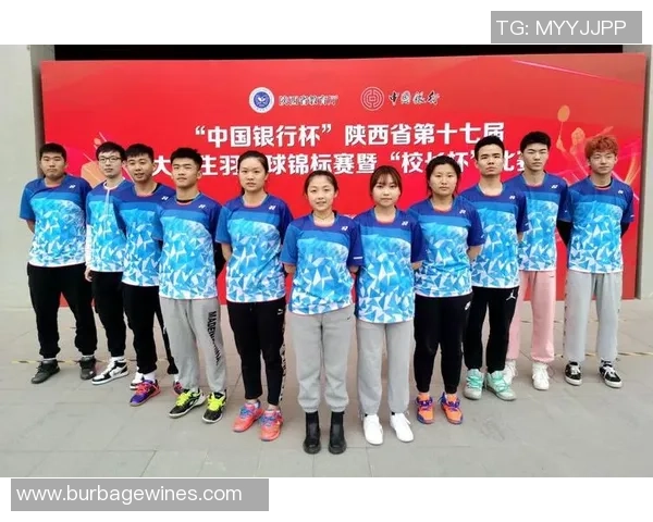 西安羽毛球队实力分析与表现评估数据解读