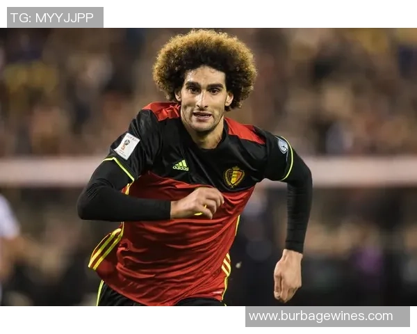 费莱尼足球明星的辉煌历程与对中国足球的影响分析