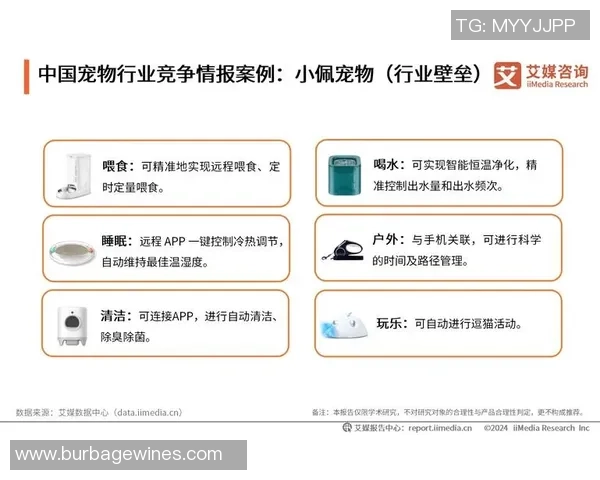 足球明星收入揭秘市场背后的商业价值与品牌效应分析 足球明星收入揭秘市场背后的商业价值与品牌效应分析