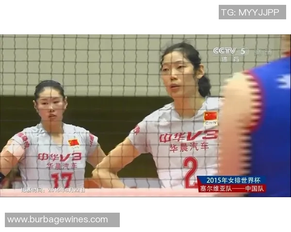 重庆排球队的崛起之路世界杯预选赛背后的成长与奋斗故事