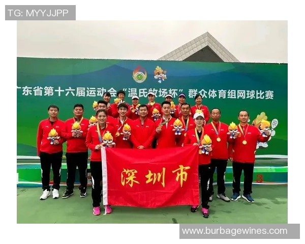 专业解读：深圳网球队的反击打法