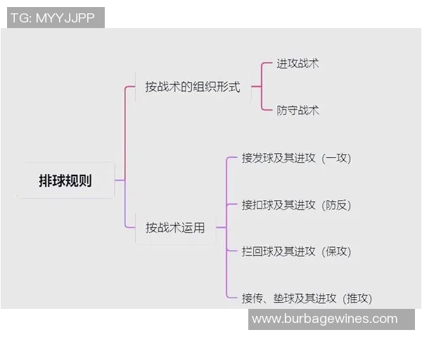 排球战术：西安排球队的进攻体系