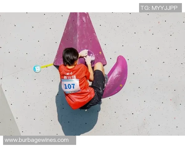 攀岩纪实：记录武汉攀岩队的成长故事