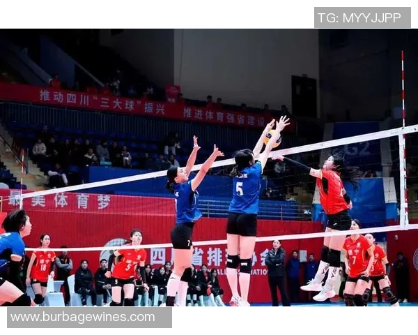 聚焦排球：成都排球队的配合话题