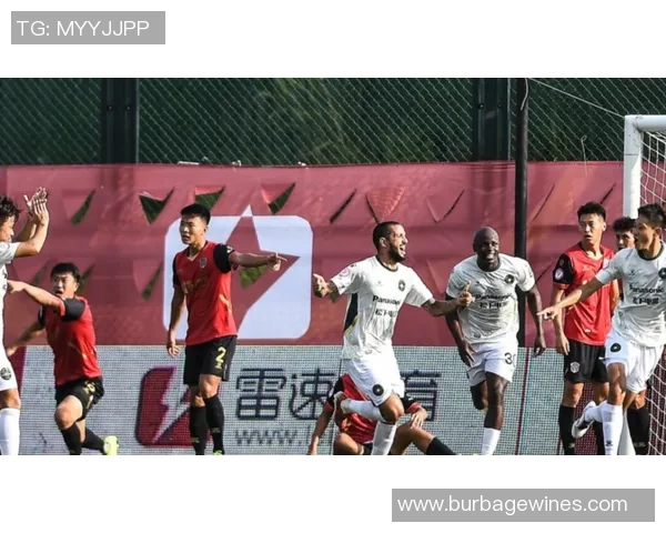 锦标赛积分榜：成都排球队以67分领跑