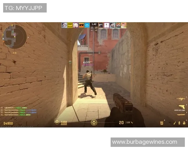 CS_GO纪实：记录V5的突破历程