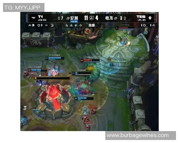 英雄联盟热点:解读TES的盯防 英雄联盟热点:解读TES的盯防