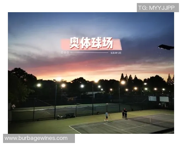 从零开始：网球团队协作完全攻略