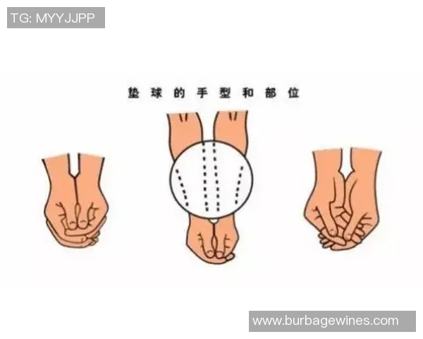 排球新手攻略：战术入门指南