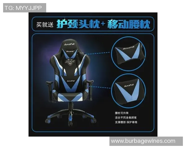 英雄联盟装备选购：电竞椅推荐