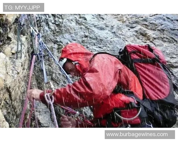 数据分析：西安攀岩队的心理素质表现_1