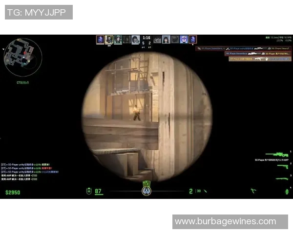 CS_GO战术：IG的整体压制体系