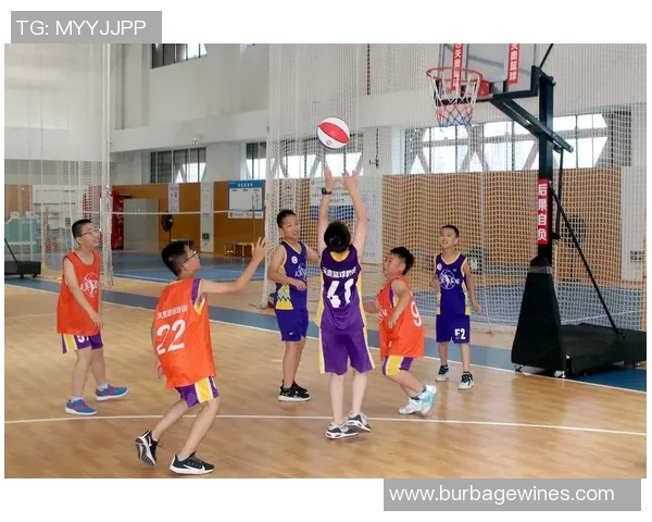 周芳独家：分享篮球心得