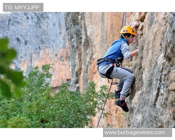 热议攀岩：成都攀岩队的实力变革