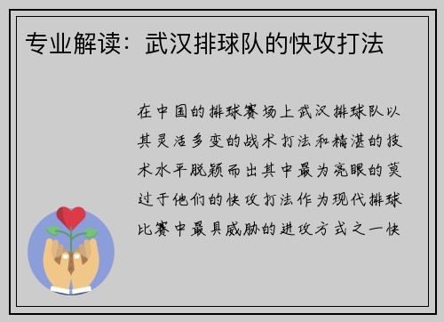 专业解读：武汉排球队的快攻打法