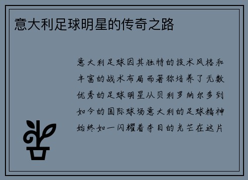 意大利足球明星的传奇之路