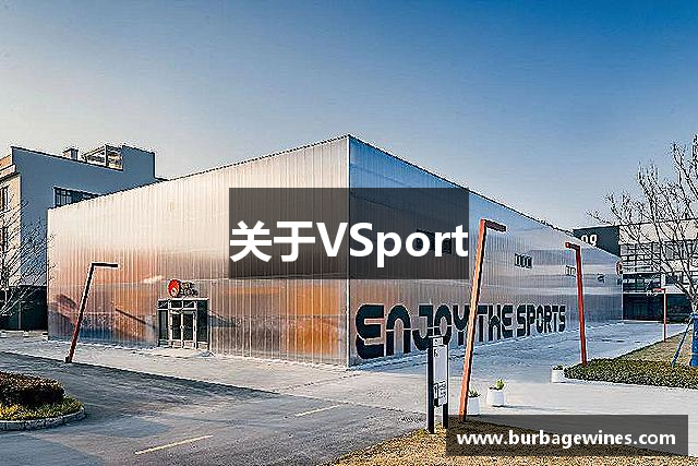 关于VSport